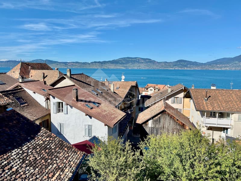 VIVEZ OU INVESTISSEZ À SAINT-GINGOLPH (12)