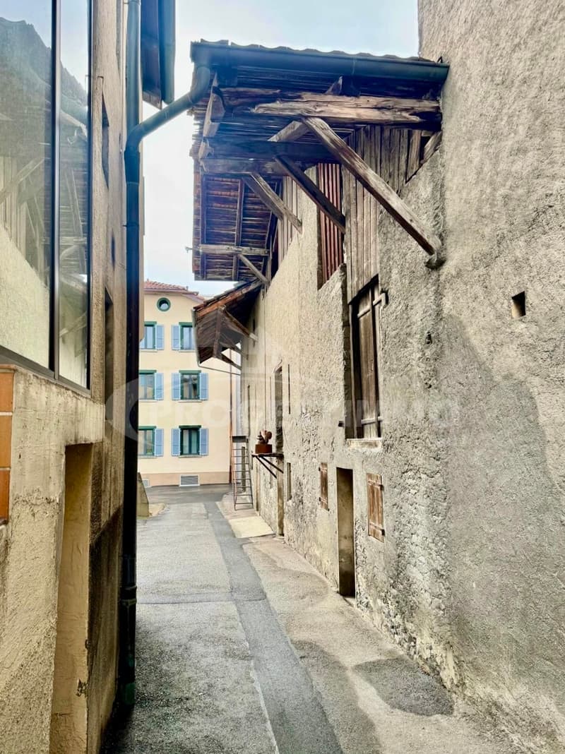 IMMEUBLE A FORT POTENTIEL - DEUX LOGEMENTS ET GRANGES TRANSFORMABLES (3)