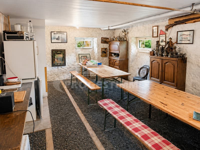 Ein Haus mit großem Potenzial (10)