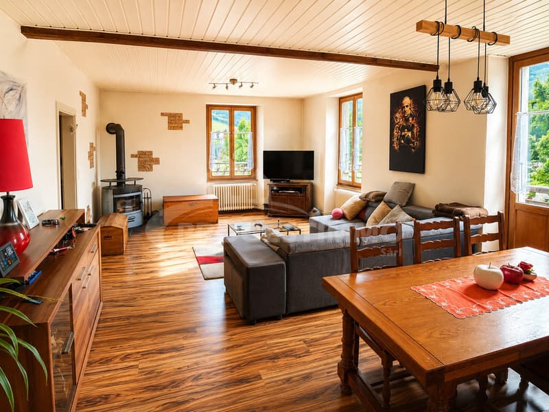 Ein Haus mit großem Potenzial (3)