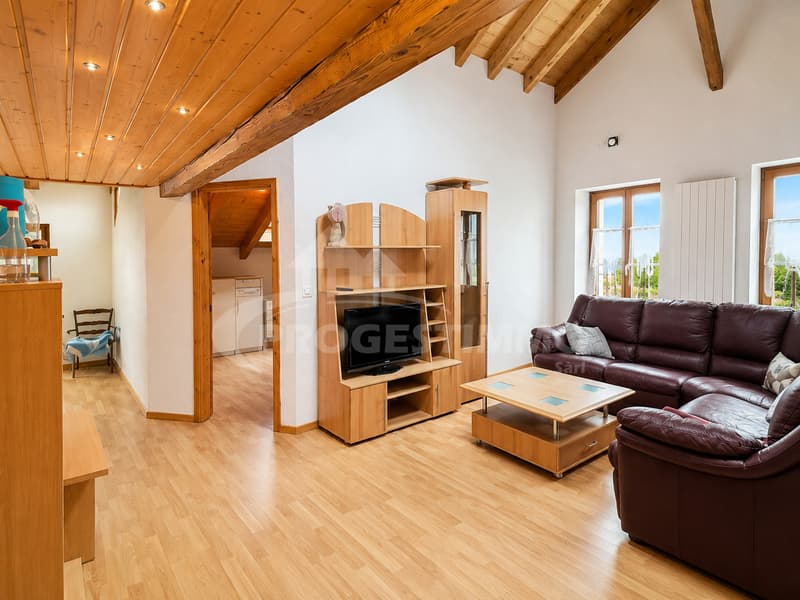 Ein Haus mit großem Potenzial (5)