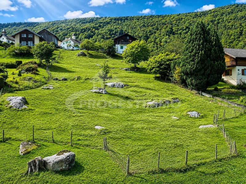 Terrain à bâtir de 3'424 m² (1)