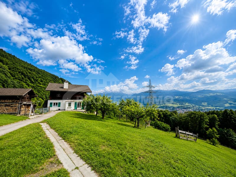 Terrain à bâtir de 3'424 m² (3)