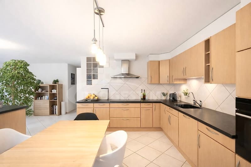 Apartment 4.5 rooms with unobstructed view of the mountains (4)