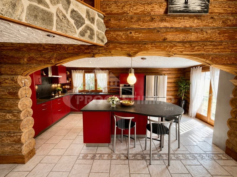 Exceptional Wooden Log House (3)