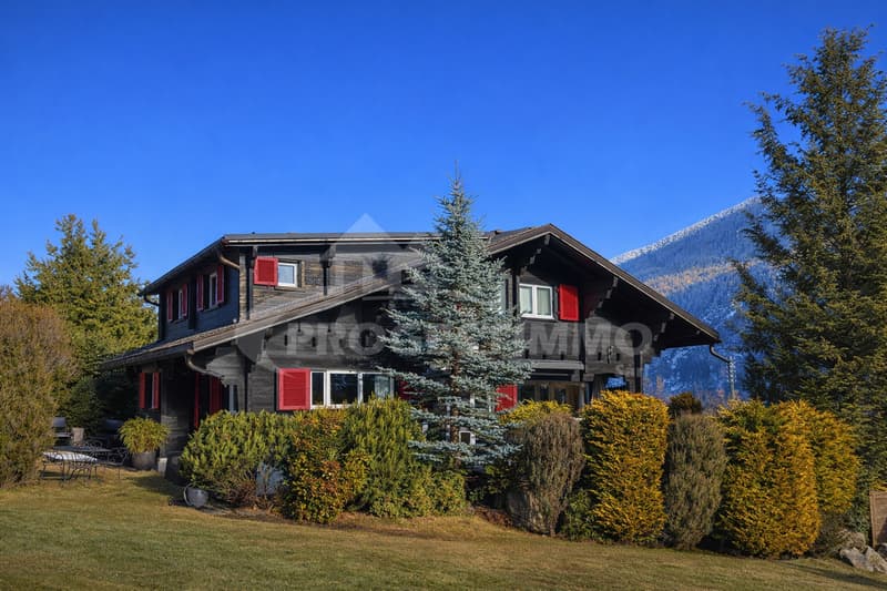 Chalet mit Grundstück, Aussicht und Helligkeit (1)