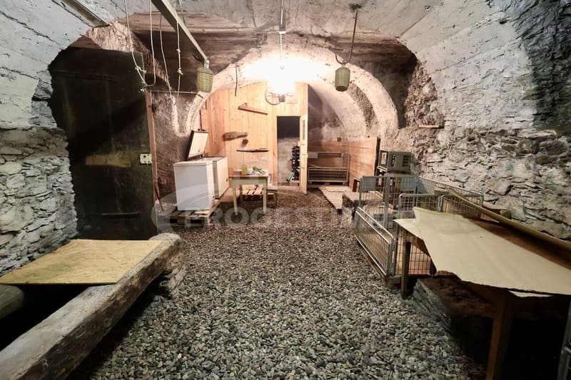 IMMEUBLE A FORT POTENTIEL - DEUX LOGEMENTS ET GRANGES TRANSFORMABLES (7)