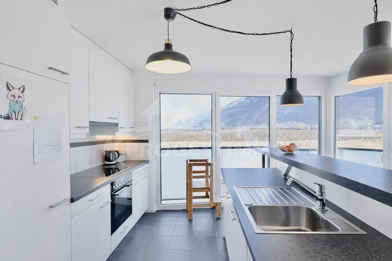 EXCEPTIONNEL APPARTEMENT 4.5 PIÈCES DANS UN ENVIRONNEMENT PAISIBLE (2)