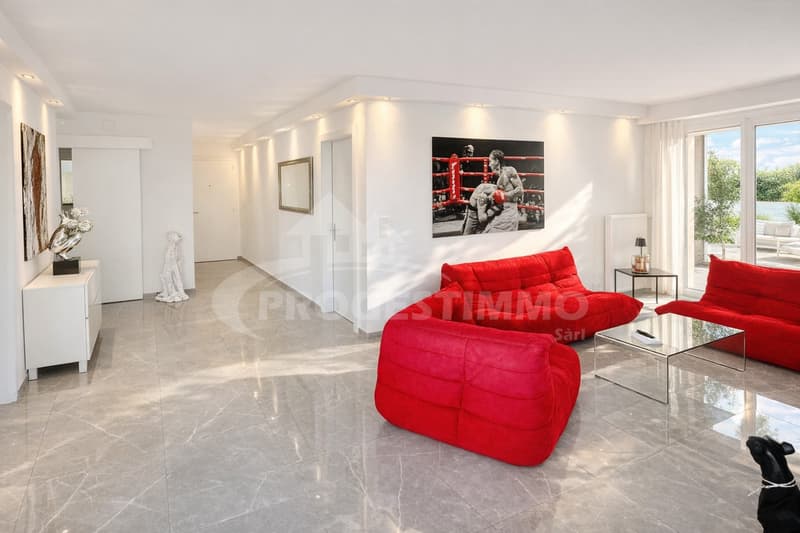 4,5 PEZZI DI APPARTAMENTO DI LUSSO CON GRANDE TERRAZZA (3)