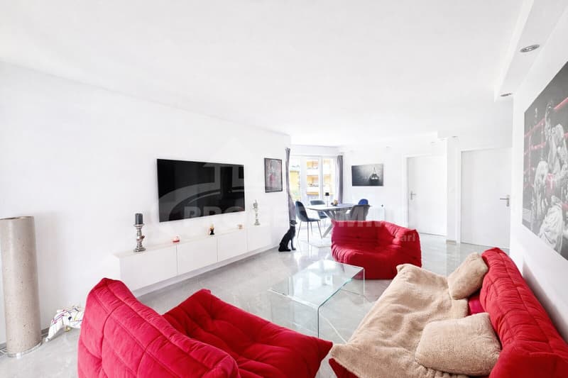 4,5 PEZZI DI APPARTAMENTO DI LUSSO CON GRANDE TERRAZZA (2)