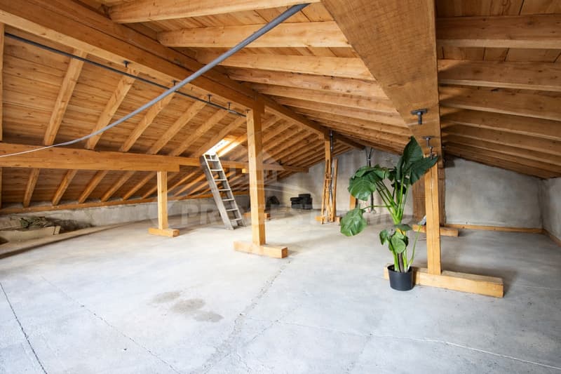 Village House with Expansion Possibility (10)