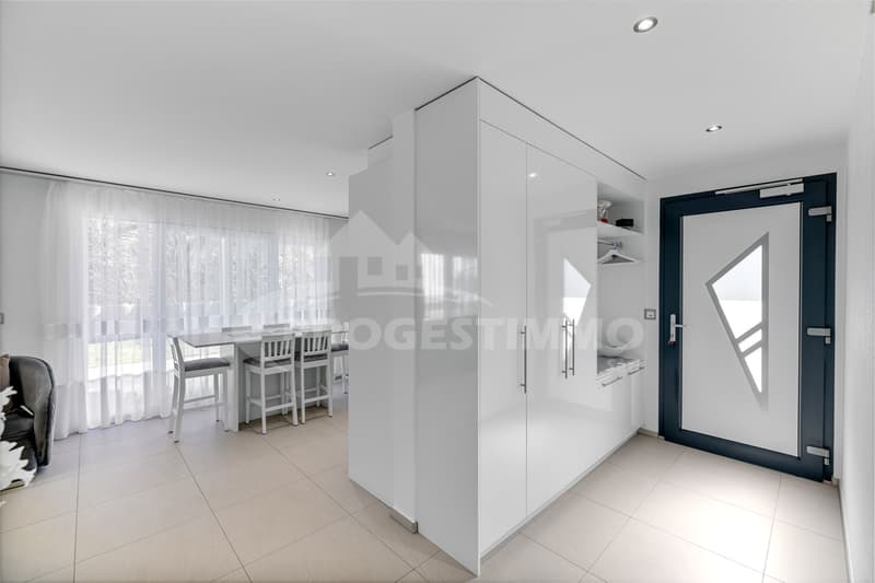 Beautiful modern villa with two apartments (3)