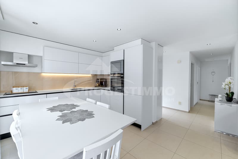 Beautiful modern villa with two apartments (2)