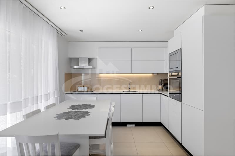 Beautiful modern villa with two apartments (6)
