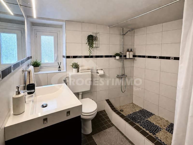 SUPERBE APPARTEMENT 3 PIÈCES ALLIANT AUTHENTICITÉ ET MODERNITÉ (4)