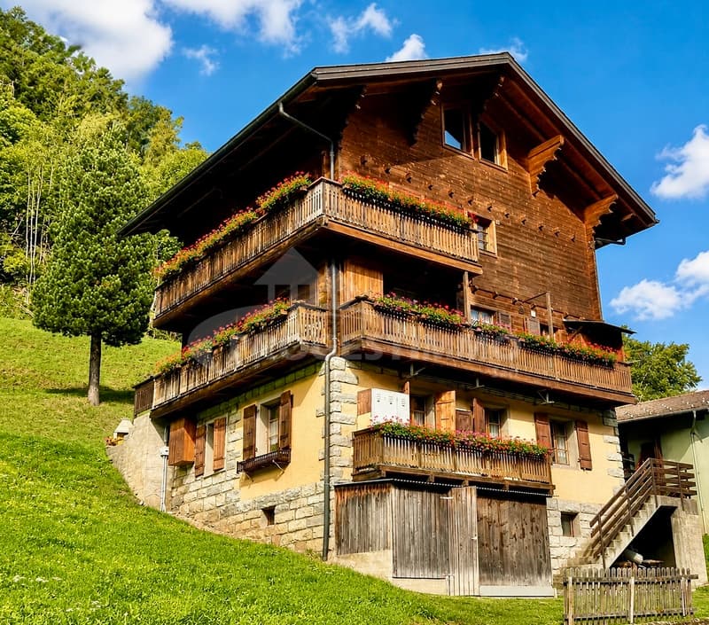 APPARTEMENT DE 3.5 PIECES AU COEUR DU VAL D'HERENS (1)