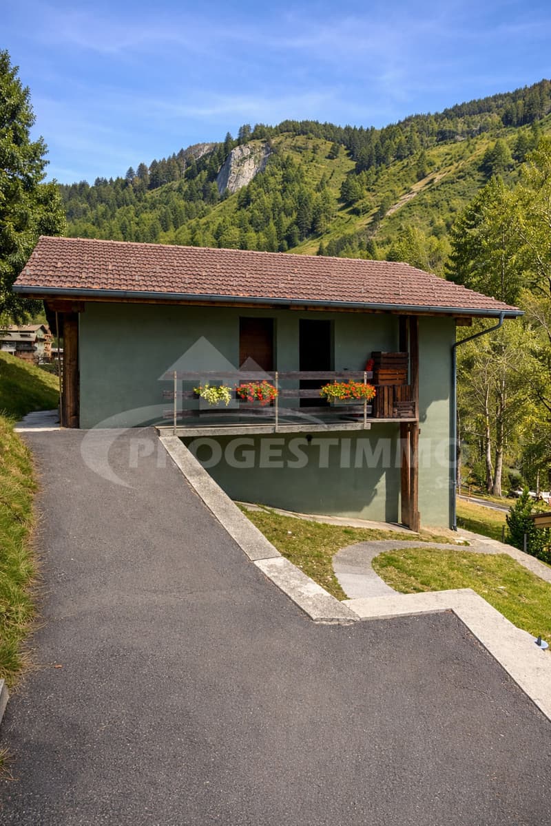 APPARTEMENT DE 3.5 PIECES AU COEUR DU VAL D'HERENS (3)