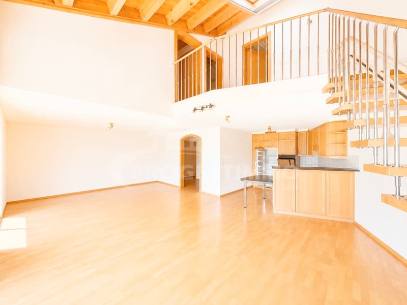 LUMINEUX DUPLEX AUX BAINS DE SAILLON (2)