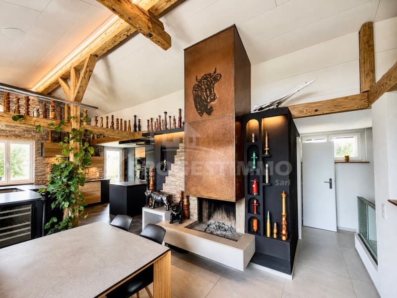 MAISON DE CHARME DANS UN QUARTIER PAISIBLE ET RECHERCHÉ (4)