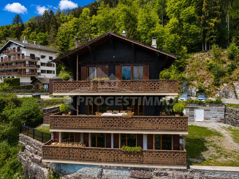 MAGNIFICENT CHALET WITH EXCEPTIONAL VOLUMES AND HIGH POTENTIAL (11)