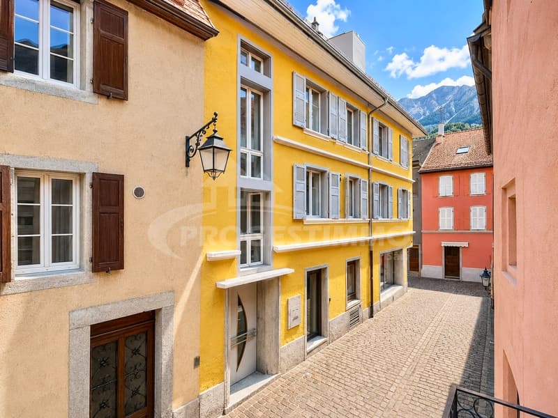 IMMEUBLE DE RENDEMENT AU COEUR DE LA VILLE (1)