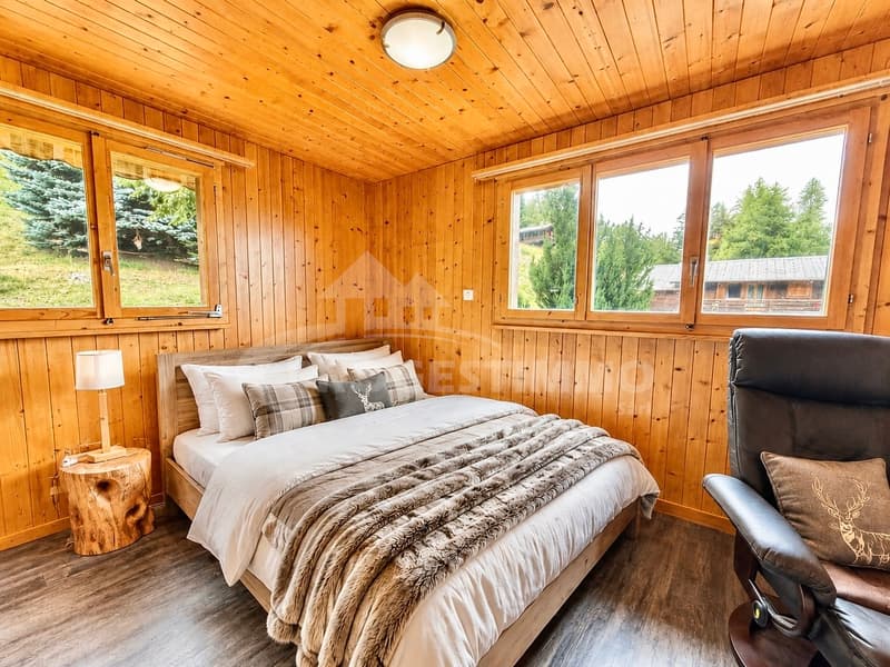 MAGNIFIQUE DUPLEX 6.5 PIÈCES SUR LES PISTES (5)