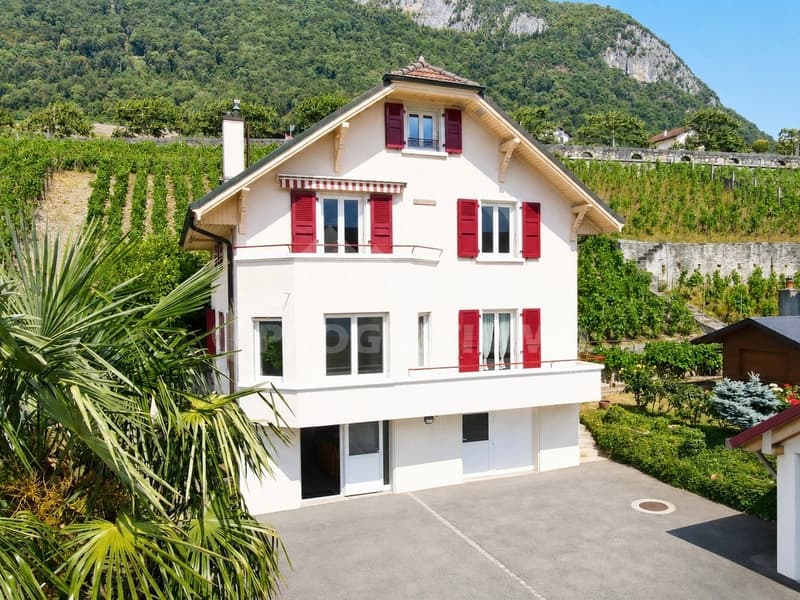 MAISON À DEUX LOGEMENTS OFFRANT DE MULTIPLES POSSIBLITÉS (1)