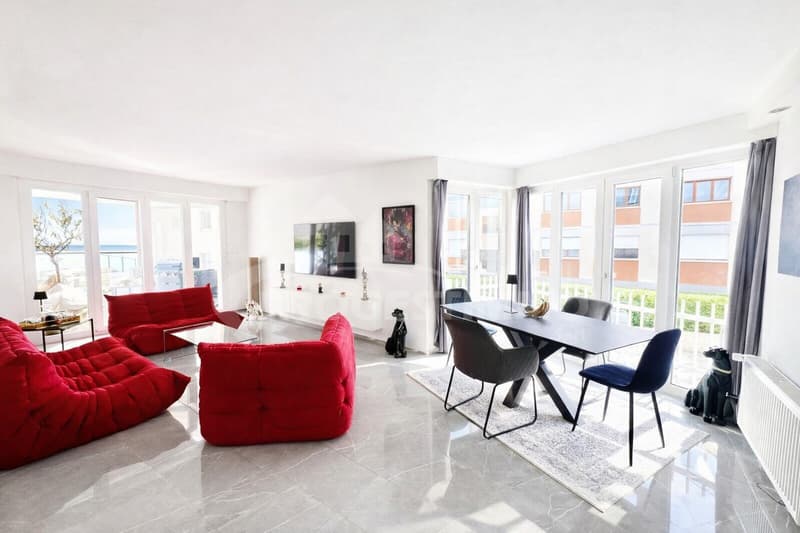 4.5 PIÈCES DE STANDING AVEC GRANDE TERRASSE (1)