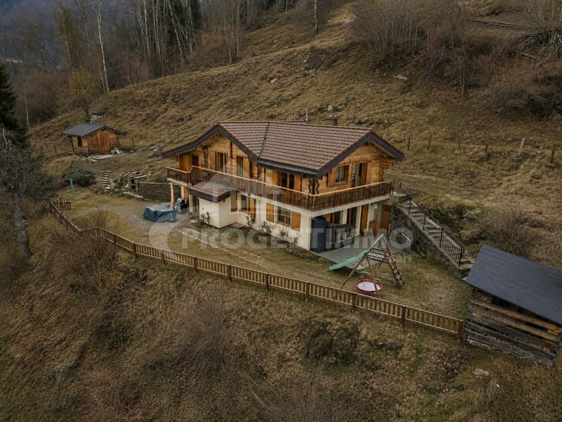 UN CHALET D'EXCEPTION ENTRE NATURE, ESPACE ET ART DE VIVRE (11)