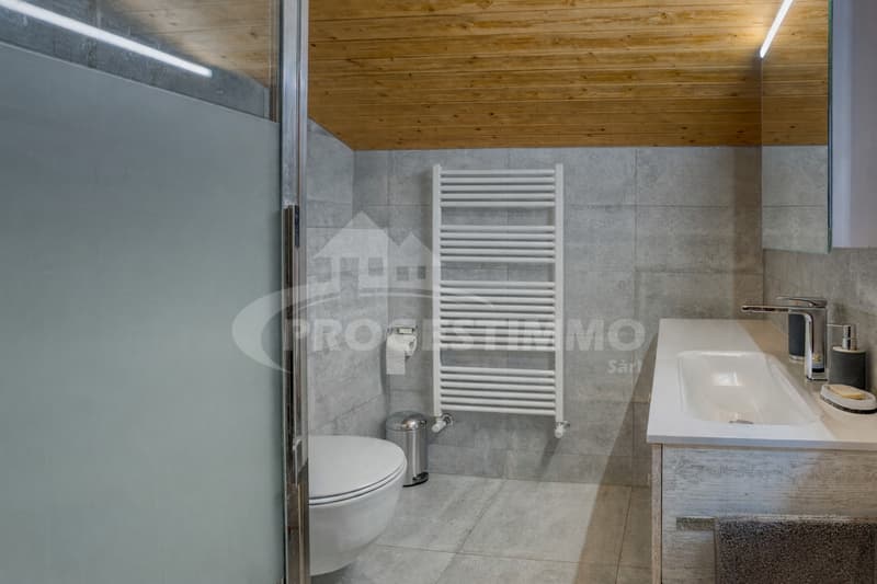 UN CHALET D'EXCEPTION ENTRE NATURE, ESPACE ET ART DE VIVRE (7)