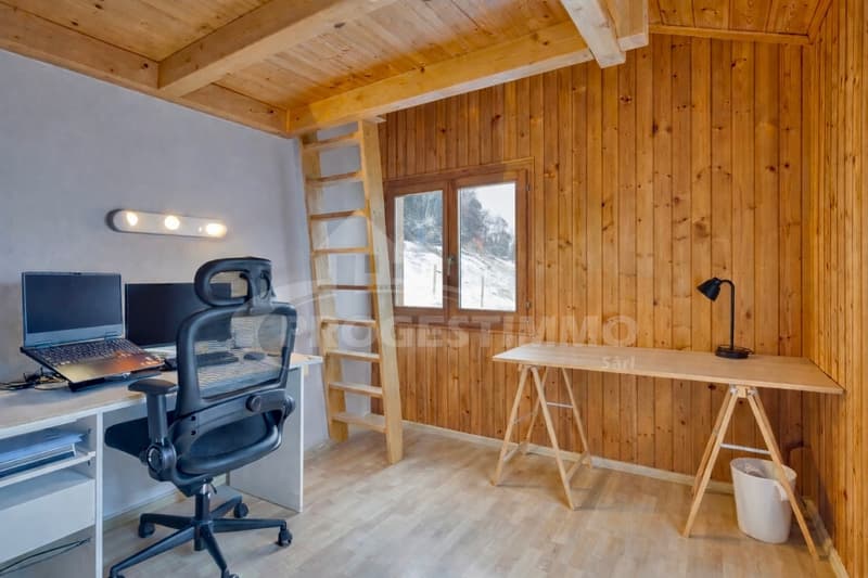 UN CHALET D'EXCEPTION ENTRE NATURE, ESPACE ET ART DE VIVRE (9)