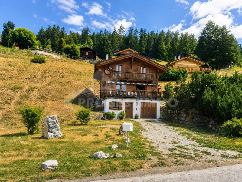 UN VERITABLE HAVRE DE PAIX AU COEUR DES ALPES VALAISANNES (10)