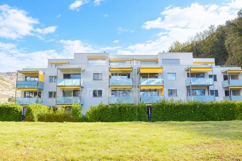 BEL APPARTEMENT 3.5 PIÈCES (1)