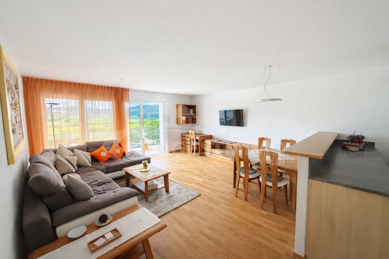 APPARTEMENT DANS LES BAINS DE SAILLON (1)
