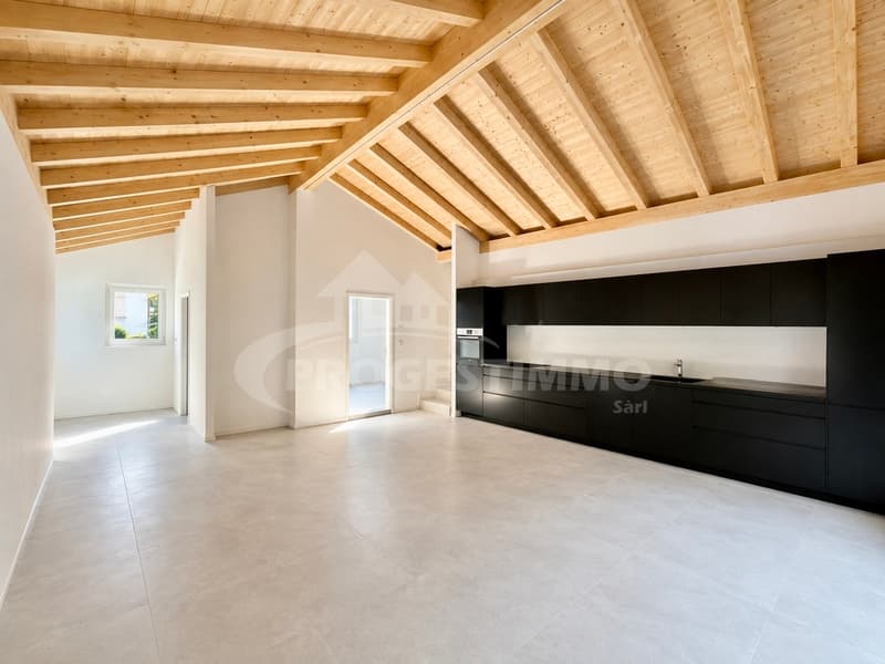 APPARTEMENT 5,5 PIÈCES EN CONSTRUCTION (2)