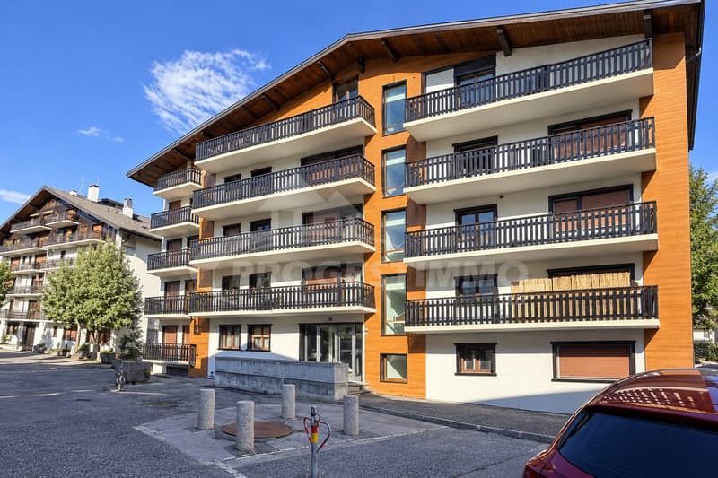 UNE OPPORTUNITÉ D'INVESTISSEMENT AU COEUR DES ALPES (7)