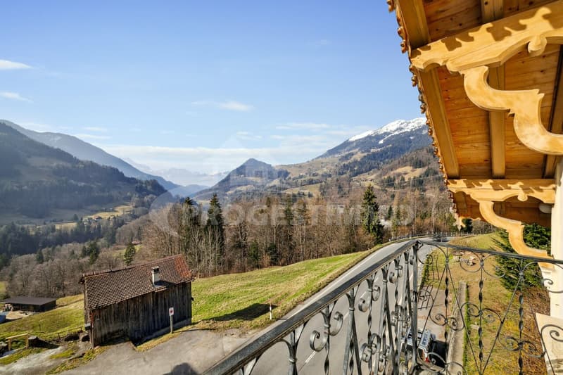 EXCEPTIONNEL - GRANDE MAISON A RENOVER (3)