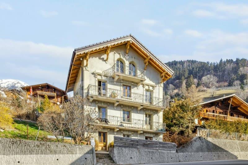 EXCEPTIONNEL - GRANDE MAISON A RENOVER (9)