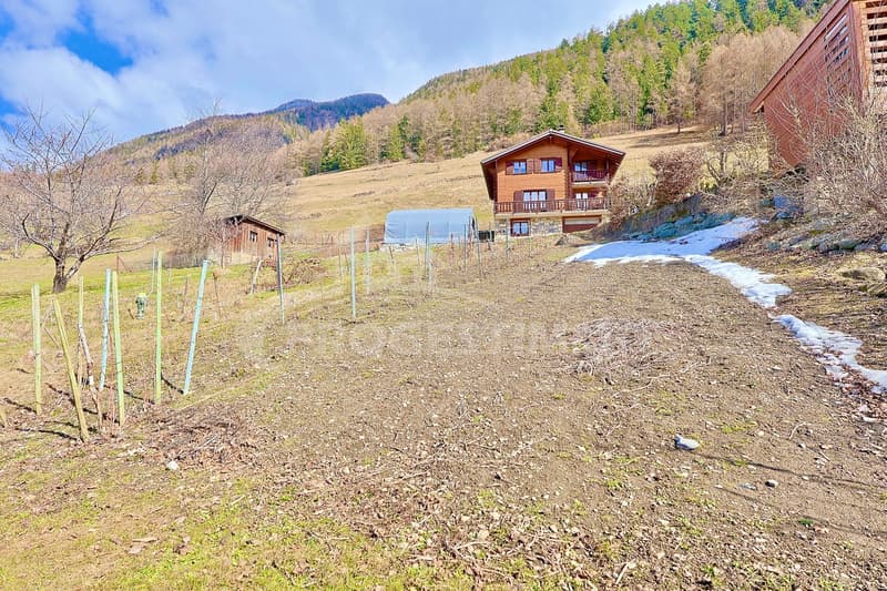 COUP DE COEUR AVEC PARCELLE CONSTRUCTIBLE COMPRISE DANS LE PRIX (11)