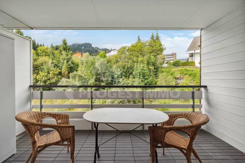 CHARMANT 2.5 PIÈCES AVEC VUE DÉGAGÉE SUR LA PLAINE (2)