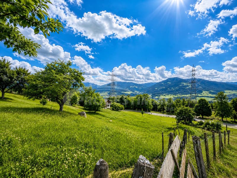 Terrain à bâtir de 3'424 m² (4)