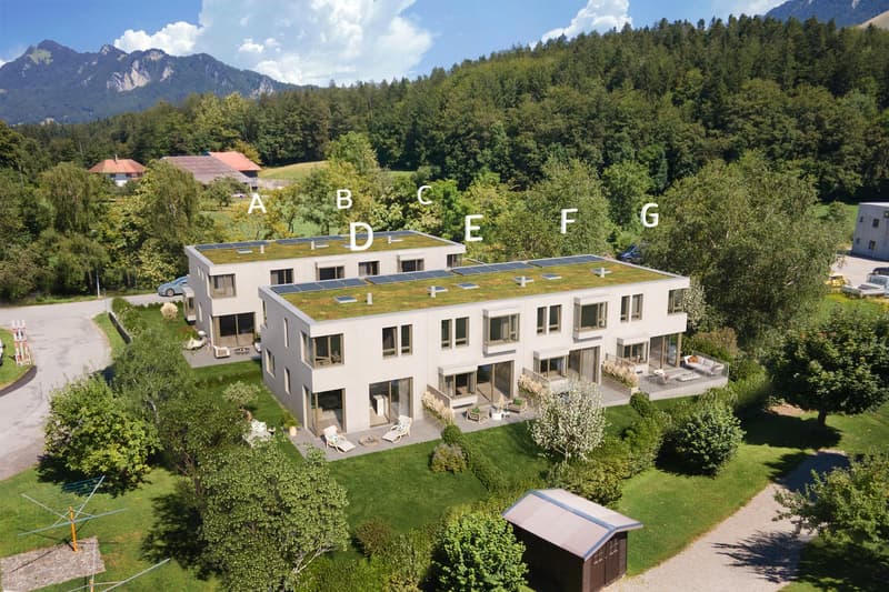 Villa contemporanea nuova con tetto a punta e giardino - disponibile subito (12)