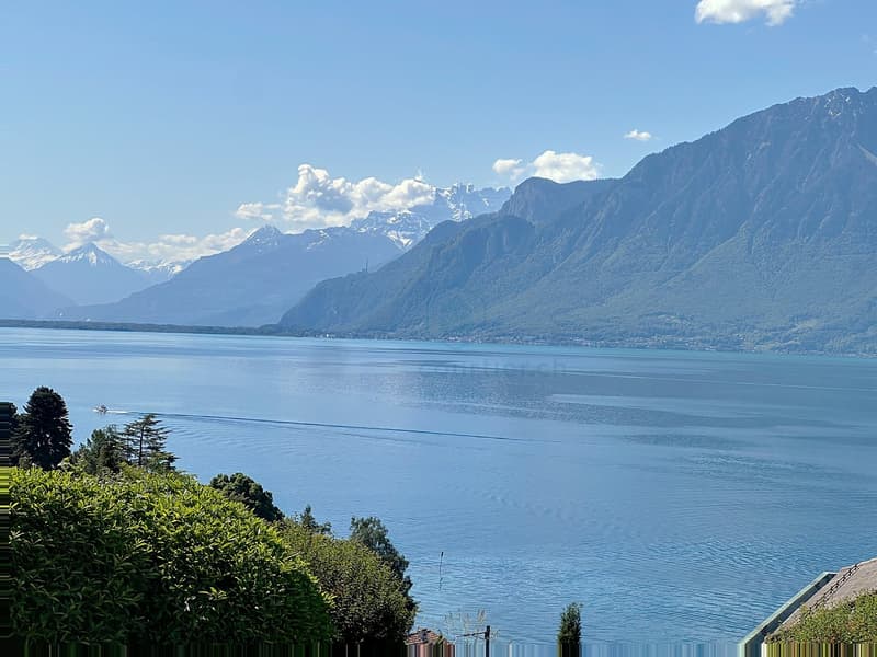 8 min. de Vevey centre, 3 villas de 5.5 pces - vue panoramique - quartier calme (1)