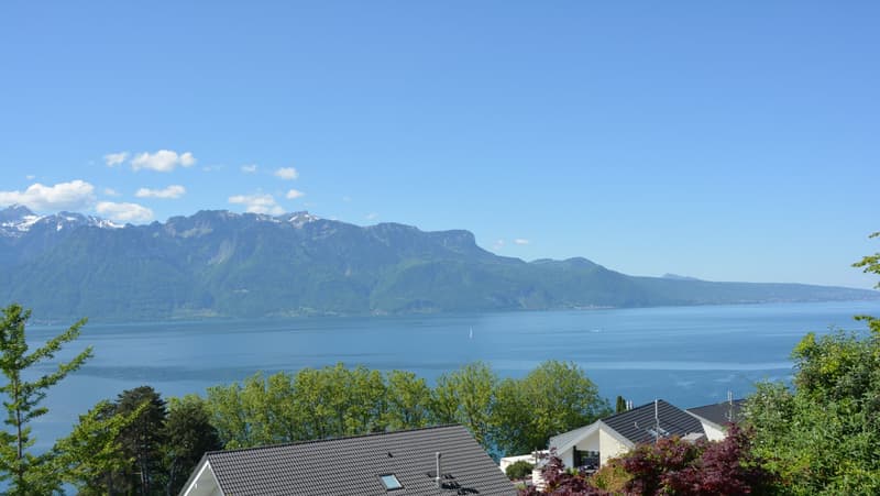 8 min. de Vevey centre, 3 villas de 5.5 pces - vue panoramique - quartier calme (13)