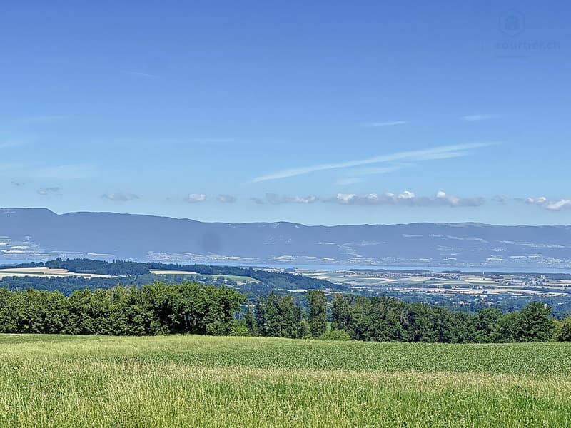 Belle propriété proche de Fribourg en bordure de terrains agricoles (2)
