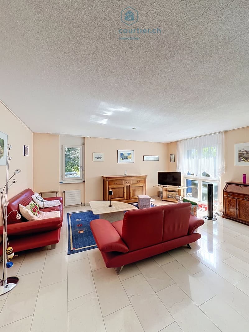 Appartement, terrasse et jardin, au calme en ville, proche HFR et gare (5)