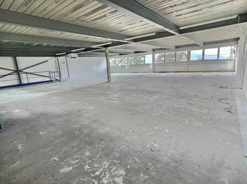 Artigianale 567 m2 a Brent (2)