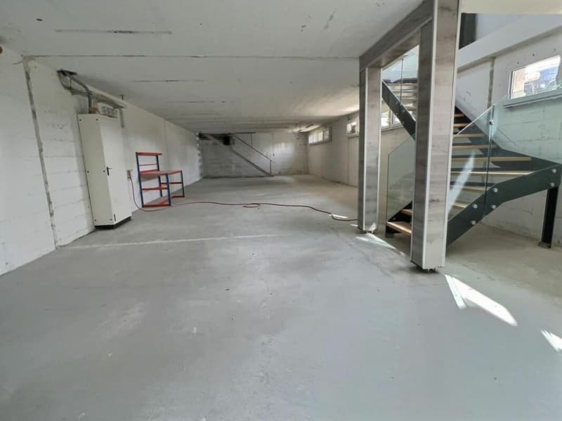 Artigianale 567 m2 a Brent (3)