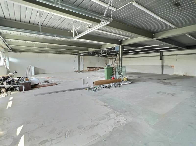 Artigianale 567 m2 a Brent (5)