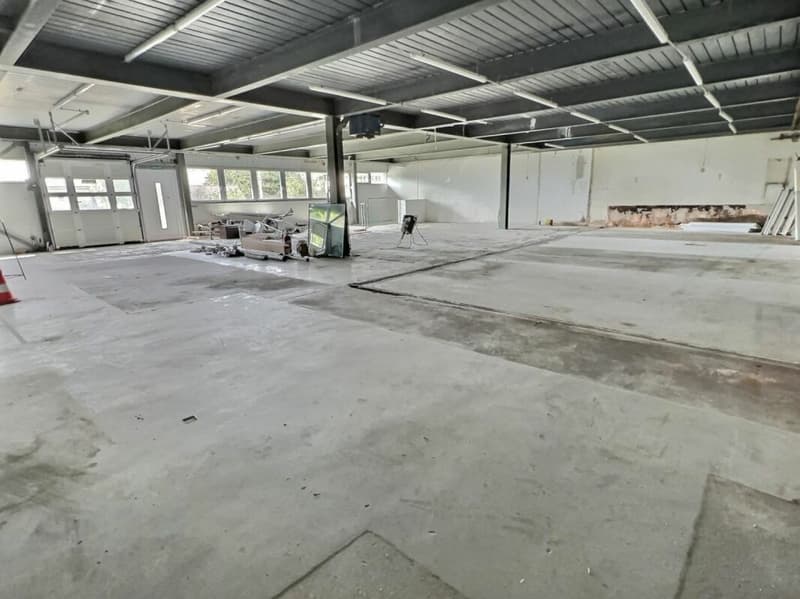 Artigianale 567 m2 a Brent (4)